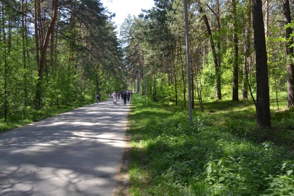 Как оплатить заказ в кракене